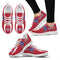 Vintage Four Flags With Streaks Montreal Canadiens Sneakers