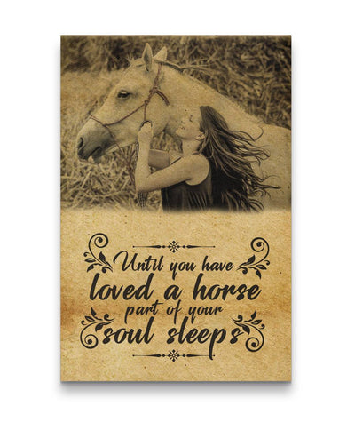 Not Loved A Horse - A Part Of Soul Sleeps Canvas Print