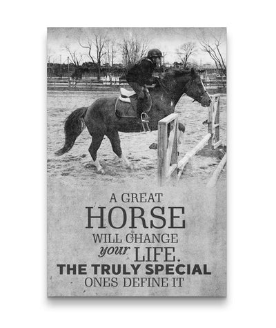 Great Horse Change Life Horse Riding Horse Canvas Print