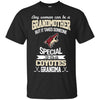 It Takes Someone Special To Be An Arizona Coyotes Grandma T Shirts