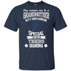 It Takes Someone Special To Be A Detroit Tigers Grandma T Shirts