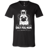 Everything Has Beauty Pug T Shirts