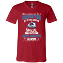It Takes Someone Special To Be A Colorado Avalanche Grandma T Shirts