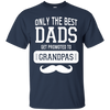 Only The Best Dads Get To Promoted To Grandpa T Shirts