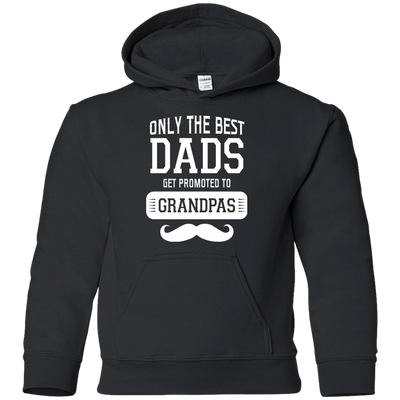 Only The Best Dads Get To Promoted To Grandpa T Shirts