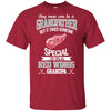 It Takes Someone Special To Be A Detroit Red Wings Grandpa T Shirts