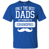 Only The Best Dads Get To Promoted To Grandpa T Shirts