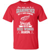 It Takes Someone Special To Be A Detroit Red Wings Grandpa T Shirts
