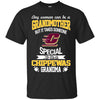 It Takes Someone Special To Be A Central Michigan Chippewas Grandma T Shirts