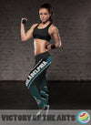 Artistic Fashion Philadelphia Eagles Leggings