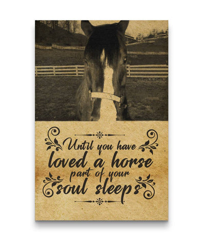 Until You Have Loved Horse A Part Of Soul Sleeps Horse On Field Canvas Print